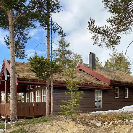 Feriehus 4 Bedroom Cozy Home In Lesjaverk Bjorli